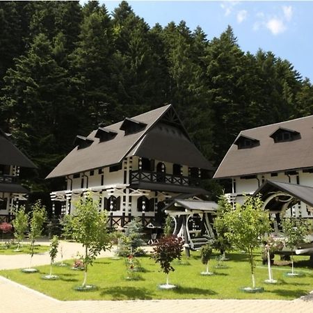 Отель Complex Lions Bucovina Воронец Экстерьер фото