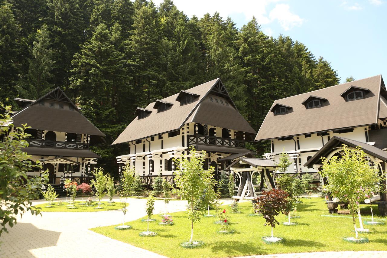 Отель Complex Lions Bucovina Воронец Экстерьер фото