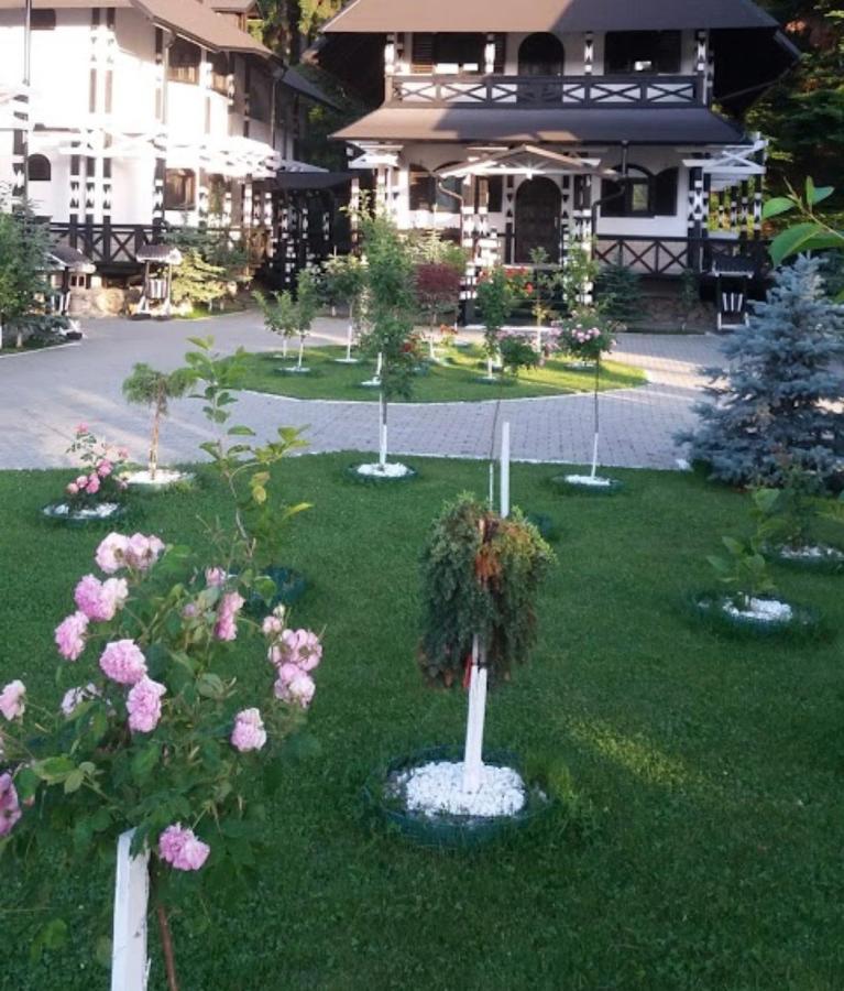 Отель Complex Lions Bucovina Воронец Экстерьер фото